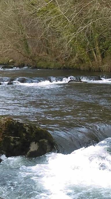 Stunning 3 Bed Riverside Cabin In Snowdonia Caeathro Esterno foto