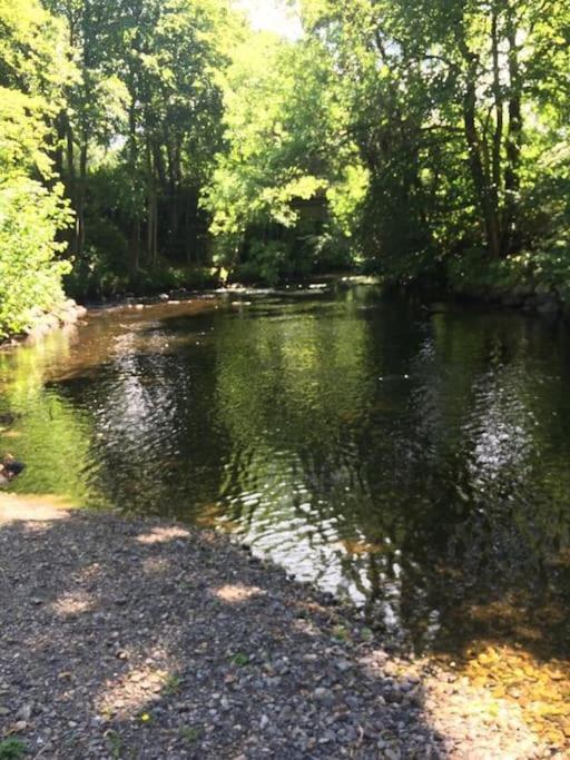 Stunning 3 Bed Riverside Cabin In Snowdonia Caeathro Esterno foto