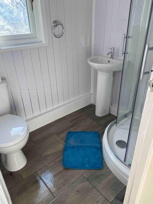 Stunning 3 Bed Riverside Cabin In Snowdonia Caeathro Esterno foto
