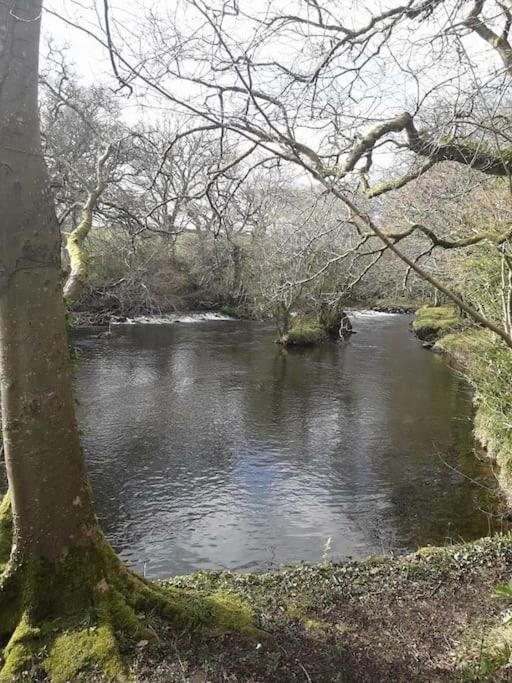 Stunning 3 Bed Riverside Cabin In Snowdonia Caeathro Esterno foto