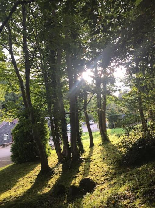 Stunning 3 Bed Riverside Cabin In Snowdonia Caeathro Esterno foto